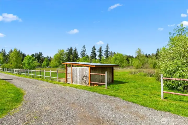 Mini-horse structure