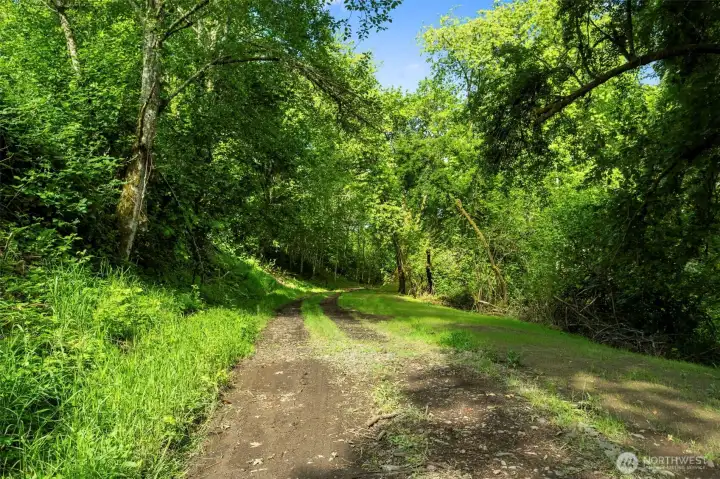 Entering Lot 1