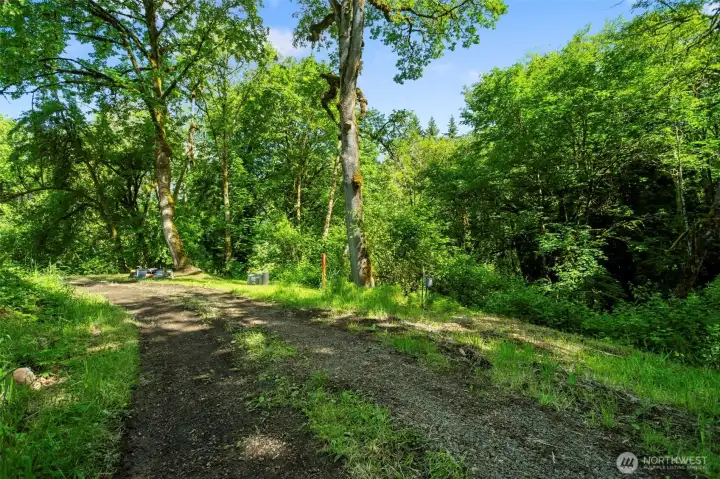 Utilities Along Driveway