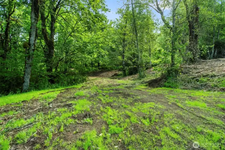 Main Proposed Build Site