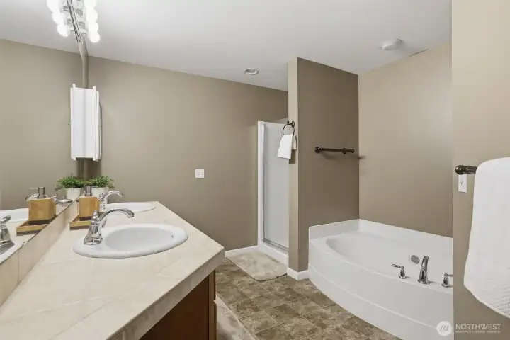 Easy walk-in shower and soaking tub