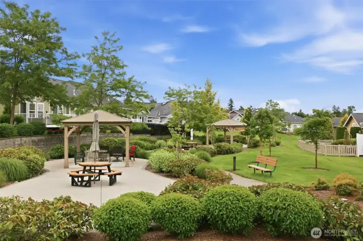 Gazebo area