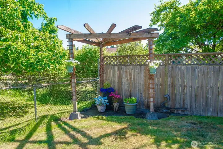 Great care taken over the years in this yard Great care taken over the years in this yard