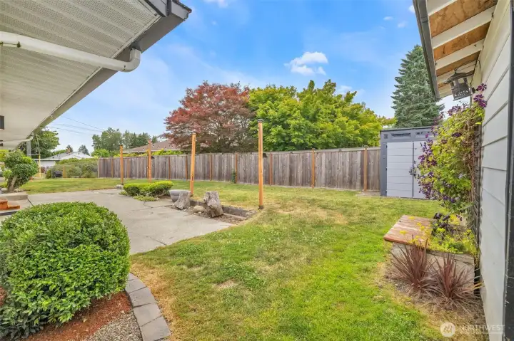backyard, fully fenced.