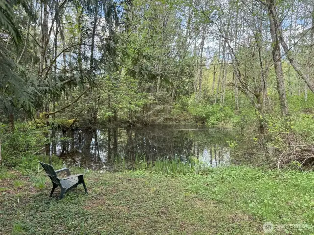 Pond!  The neighbors used to swim here!