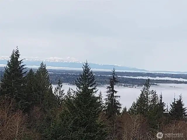 Foggy morning view