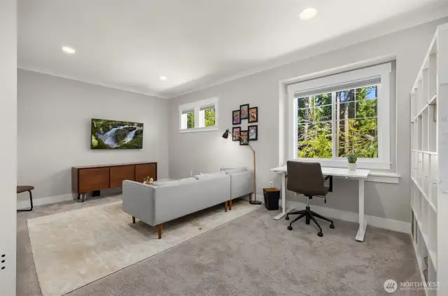Bonus room/Family room