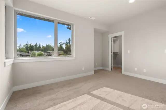 3rd bedroom upstairs with walk-in closet