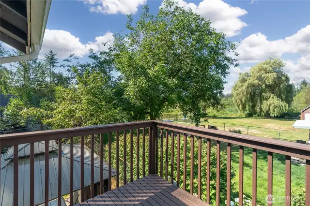 Pasture view form top deck
