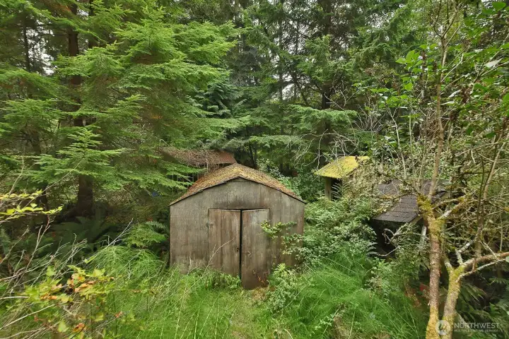 2 sheds in backyard