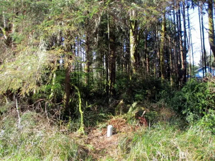 view from the street