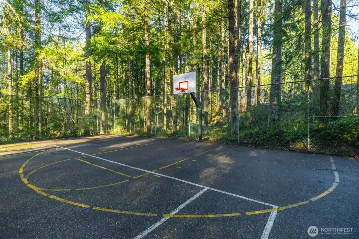Athletic Court