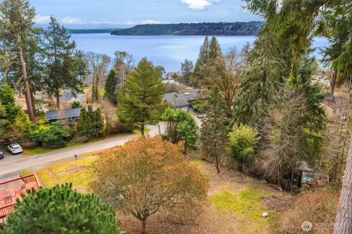 Native vegetation, as well as manicured yards, create privacy between the neighbors in the Ellisport community. Mount Rainer can be seen in the distance, over Maury Island, on a clear day.