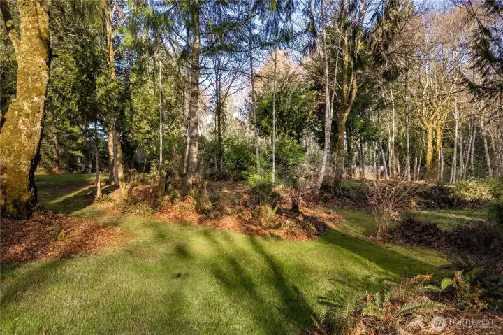 Beautiful Wooded 1+ Acre Lot