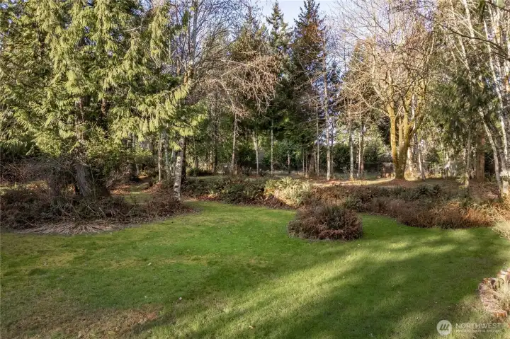 Beautiful Wooded 1+ Acre Lot