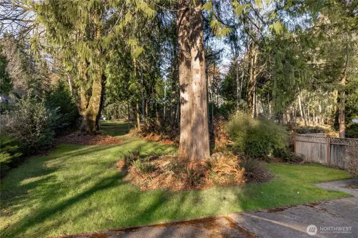 Beautiful Wooded 1+ Acre Lot