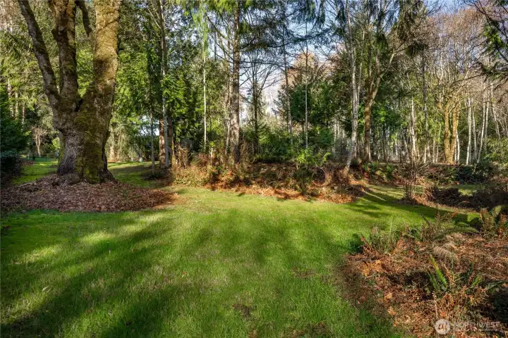 Beautiful Wooded 1+ Acre Lot