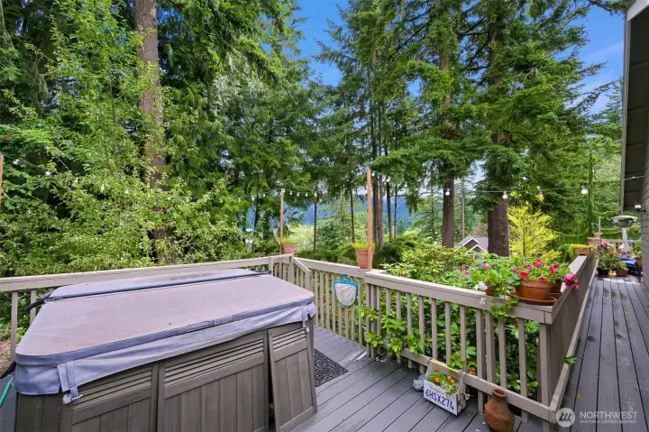 Easy access to the hot tub from the living room or primary bedroom.