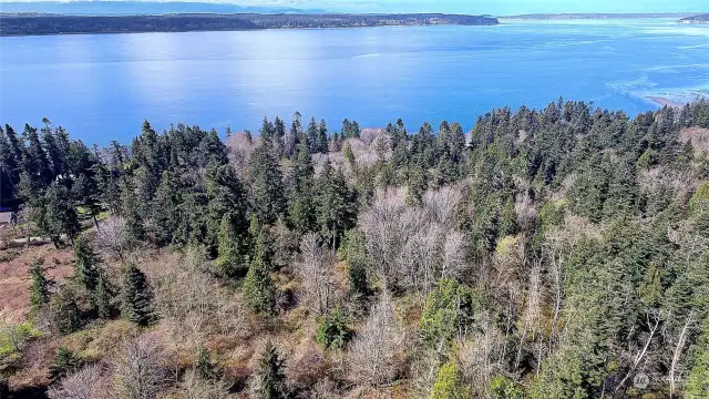 Aerial View of Area
