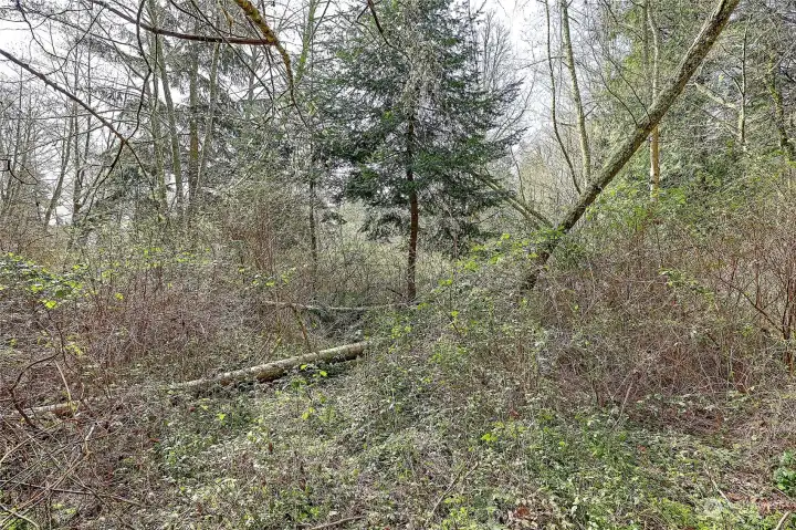 Street View off road connecting to Amber View (no name)