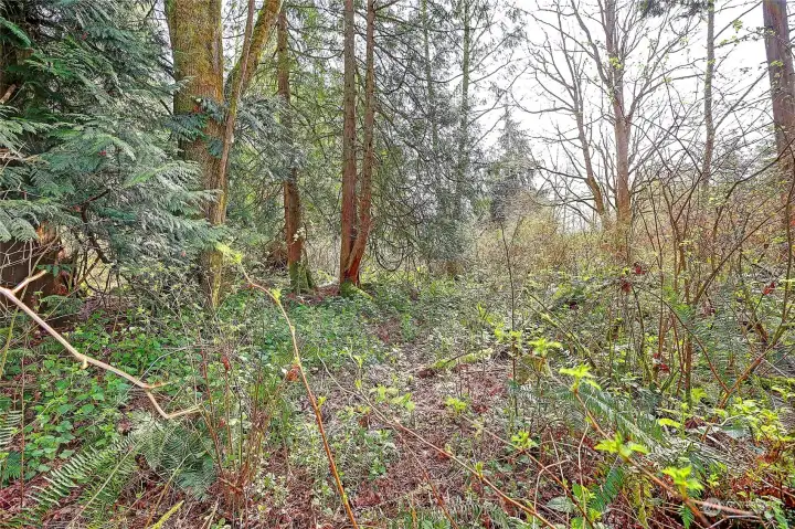 Street View off road connecting to Amber View (no name)