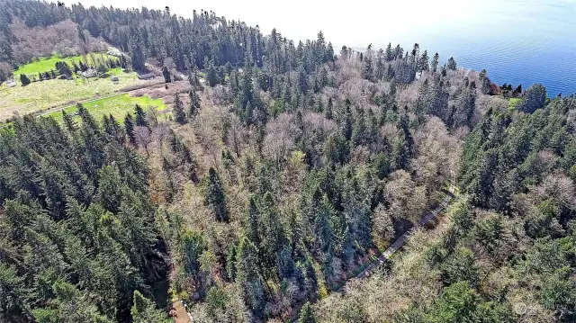 Aerial View of Area
