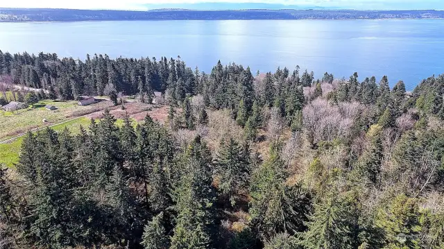 Aerial View of Area