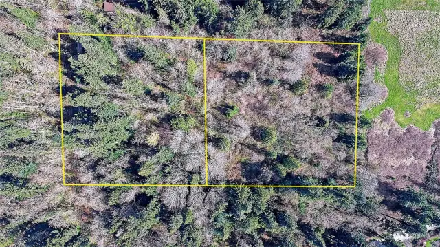 Aerial View of Area