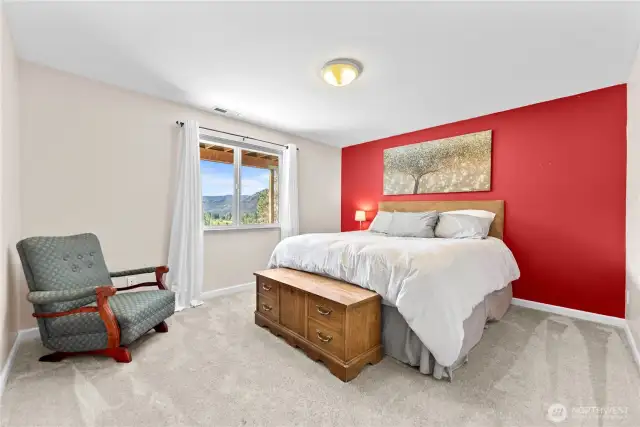 Downstairs bedroom