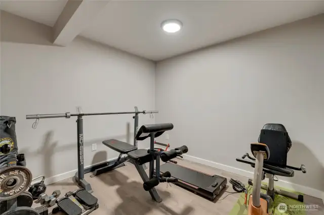 Bonus room in basement
