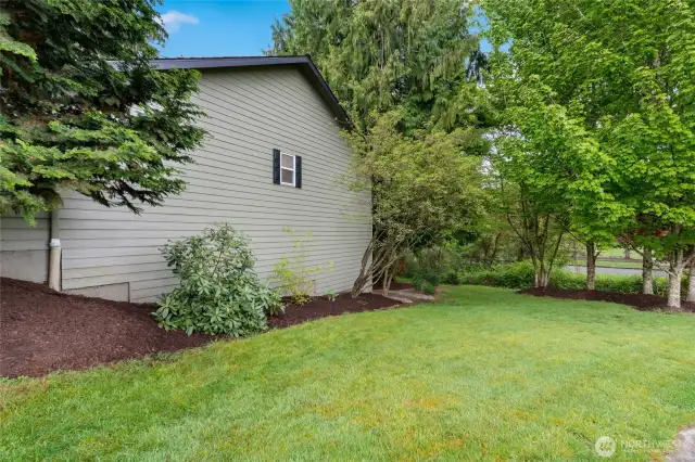 Side yard