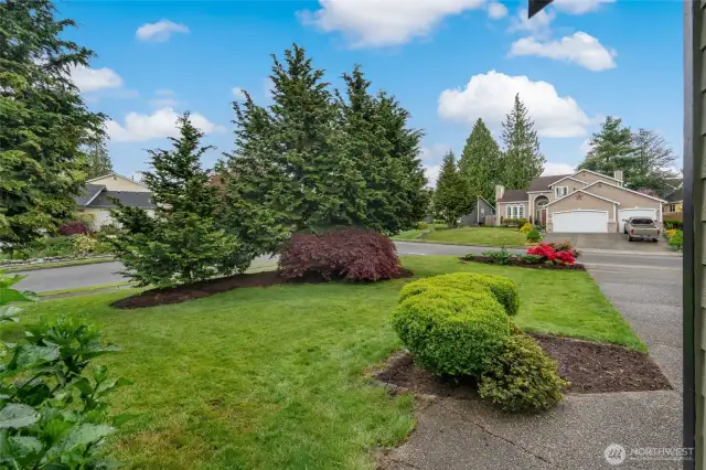 Front yard