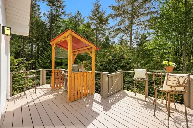 Sliding doors off the kitchen and dining room lead to this gorgeous, west-facing, sun-drenched deck. Gated stairs (again great for corralling young children or pets) lead to the fully-fenced back yard. Last but certainly not least, the covered grilling station will delight the chef who appreciates a nice char even in the winter months (and will protect him or her from the afternoon and evening sun during the summer months).
