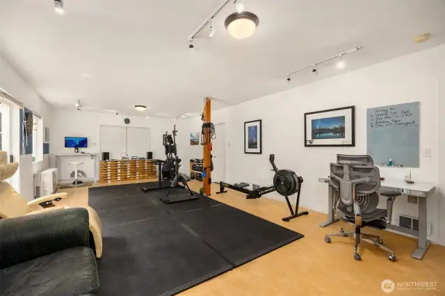 Here we see the 571 square foot flex room with sliders to the back yard and deck. Two doors on the north wall lead to an oversized, heated workshop and storage space (not pictured) with a professional dog-bathing station and a door to the side yard.