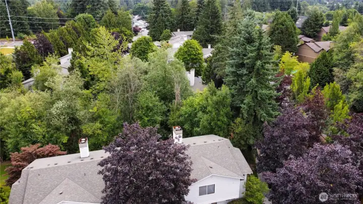 Townhouse is surrounded by lush greenery. Location is so perfect on the grounds of Park North.