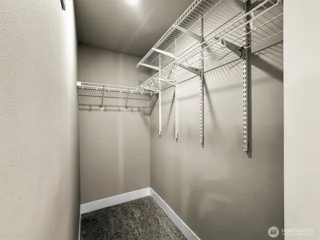 spacious walk in closet in the bedroom