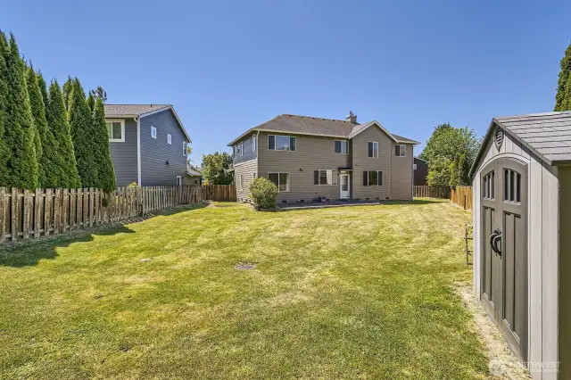 Massive fenced backyard