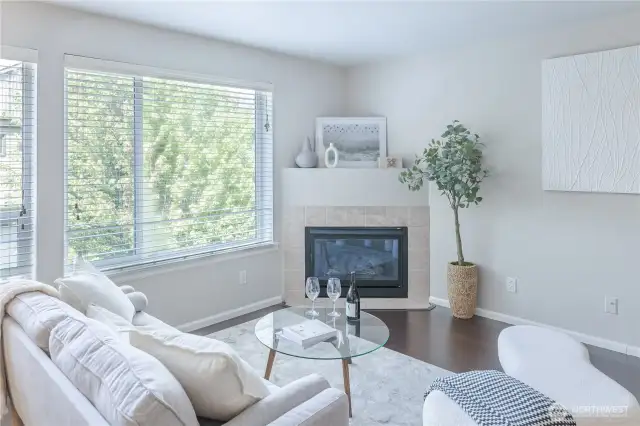 Gas fireplace.