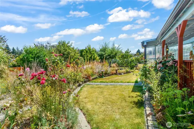 Lovely garden view with many varieties of plants and trees