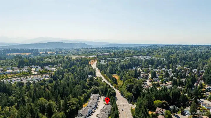 Look at all the beautiful trees that surround this complex.