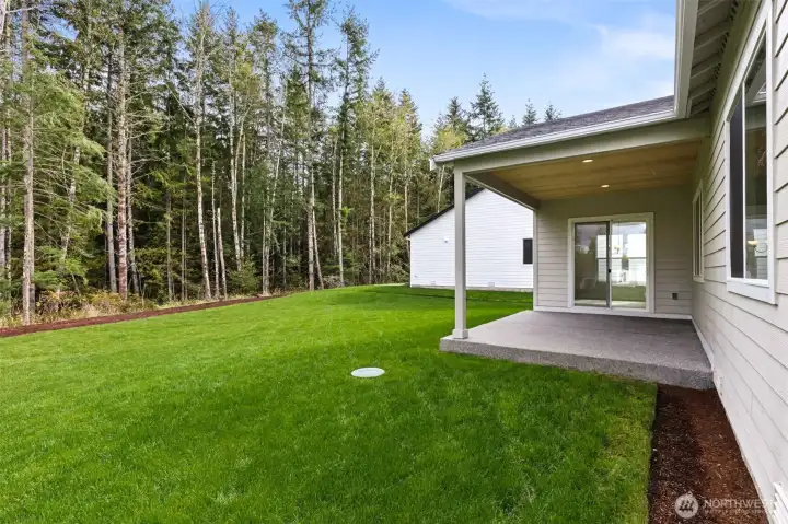 ***Actual Home *** Sunroom and covered patio looking back to the green space and backyard.