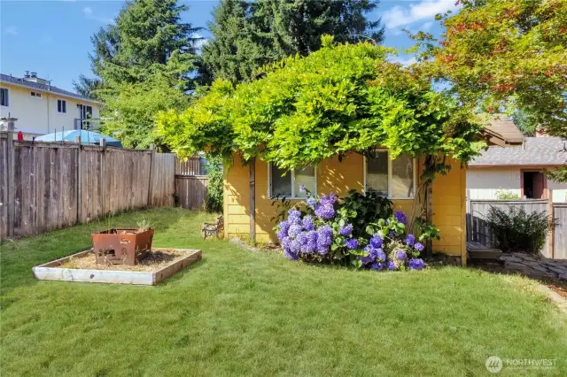 Fire pit and powered shed in the back yard.