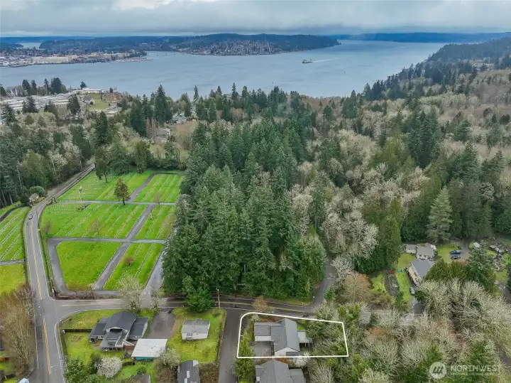 Backyard extends beyond fenceline.
