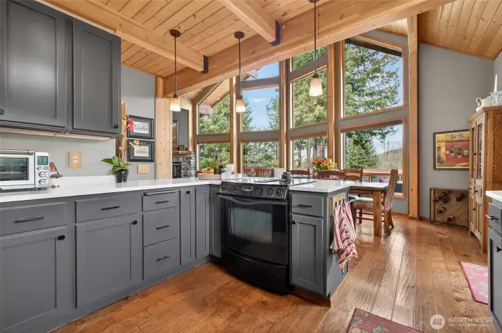 Remodeled Kitchen Views