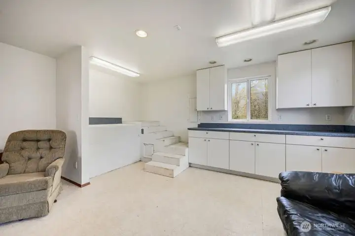 Office area with elevated tub & stairway for bathing animals.