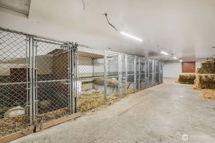 Room in between the Stables and garage area. Small animal kennels with access to the out side.