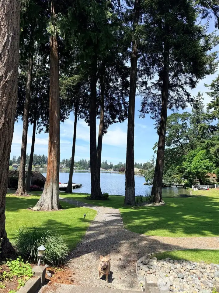 Lake access (dog not included)