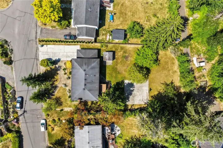 Large and flat lot Large and flat lot