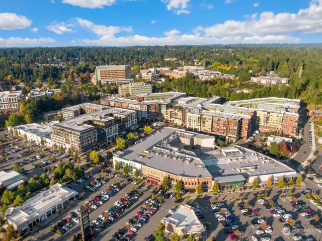 Totem Lake Village