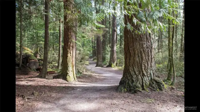 Site is steps from the urban trail that will take you to Whatcom Falls Park, Barkley Village, schools, shops and more!